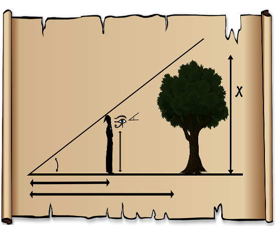 <div class="hs_ar_second_sec_cont_wrapper">   <p>To understand Western Numerology or the Pythagorean Numerology as it popularly known, Pythagoras attributed each number with specific qualities. This number includes 1-9. The number 11 and 22 are magic numbers of master number that are mostly affected by karmic deeds. It can have both negative and positive effects.  </p></br>   <table style="background: #fb887c;color: #fff;font-family: 'Lato', Arial, sans-serif;box-shadow: 5px 8px 15px #888888;">                <tbody>            <tr>                <td>Numbers</td>                <td>Good Points</td>                <td>Bad Points</td>            </tr>			<tr>                <td>1</td>                <td>Possess leadership qualities with individual initiative. Courageous and have the capacity to execute the task.</td>                <td>May suffer from egocentric and selfish attitude. Can be extremely aggressive that may result in laziness.</td>            </tr>            <tr>                <td>2</td>                <td>A very diplomatic and charming individual with a heart full of love. Can be best in partnership and is a team worker.</td>                <td>Suffers from a lack of confidence and gets over sentimental. Sometimes they do not think without head resulting is loss of strategic approach.</td>                           </tr>						<tr>                <td>3</td>                <td>Cheerful and very social individual, they are very self-expressive. Have a taste for fine things with a creative and artistic bend of mind.</td>                <td>They tend to exaggerate every small thing to increase their popularity. The loose talks make them prone to bad names making them depressed easily.</td>            </tr>			<tr>                <td>4</td>                <td>Diligent and hardworking lot, they give importance to logical reasoning and practical approach. They are the natural builder.</td>                <td>They suffer from extreme injuries and ill health. Their mind is absent from imagination and tends to argue.</td>            </tr>            <tr>                <td>5</td>                <td>A master of entertainment and merriment, they crave for freedom and knowledge. Highly versatile, they are very active in physical relationships. They are regarded as a master of all tasks.</td>                <td>They can be pretty careless and restless all the time. They are very fickle minded and lack commitment.</td>            </tr>			<tr>                <td>6</td>                <td>They are very spiritual and domestic individuals. Fond of children, they are artistic and are responsible individuals and keep the welfare of others as a priority.</td>                <td>They tend to breakdown if they are left alone. Excessively sensitive and nervous, they become utter cold if pushed further.</td>            </tr>			<tr>                <td>7</td>                <td>They have an attraction towards occult sciences. Most of the scientists and detectives are born with this number as they are the ship of wisdom.</td>                <td>Have a narcissistic tendency with full of ego. They are also easy to anger and procrastinate.</td>            </tr>			<tr>                <td>8</td>                <td>A mastermind behind establishing an organization, they embody correct judgment. With the ability to execute, they occupy the high post in the administration.</td>                <td>They crave for attention and can do go to any extent for it. Overtly banausic, they lack compassion and are impatient.</td>            </tr>			<tr>                <td>9</td>                <td>They tend to follow the path of divinity, by virtue of selflessness, generosity, sympathy and the deeds of philanthropic activities.</td>                <td>They tend to give away all their money for others. They must learn to be a bit selfish. They also suffer from mood swings.</td>            </tr>			<tr>                <td>11</td>                <td>Commands great inspiration, individuals possess high-level intuition. They can foresee and obtain illumination.</td>                <td>Sometimes their words are quixotic, and they are prone to excess sentiments. Excess introvert, they must lose connection with the real world.</td>            </tr>			<tr>                <td>22</td>                <td>They have worthy personage with a knack for positive materialism. Their practical approach makes them famous industrialist.</td>                <td>They are at constant war within their own mind. They get drawn towards black magic for harm.</td>            </tr>                    </tbody>    </table> </br>     <p>These numbers are used for Life Path and Birth Number calculation, where you need to add up total birth date and only the birth date respectively to get any of these numbers determining the characteristics and destiny of an individual.</p>  </br> </div>